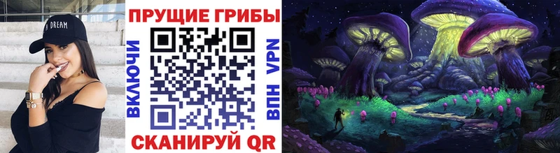 mega зеркало  Новое Девяткино  Галлюциногенные грибы Psilocybine cubensis 