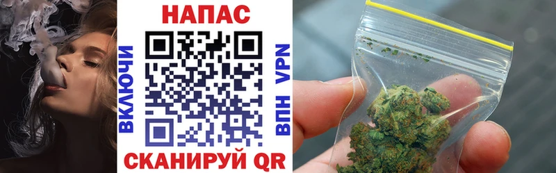 как найти наркотики  Новое Девяткино  hydra как войти  МАРИХУАНА сатива 